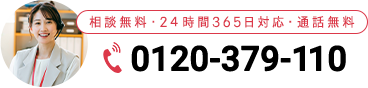 0120-379-110