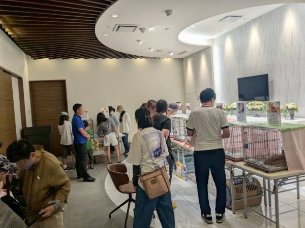 家族葬ひととき摂津正雀会館　【保護猫ふれあい会】